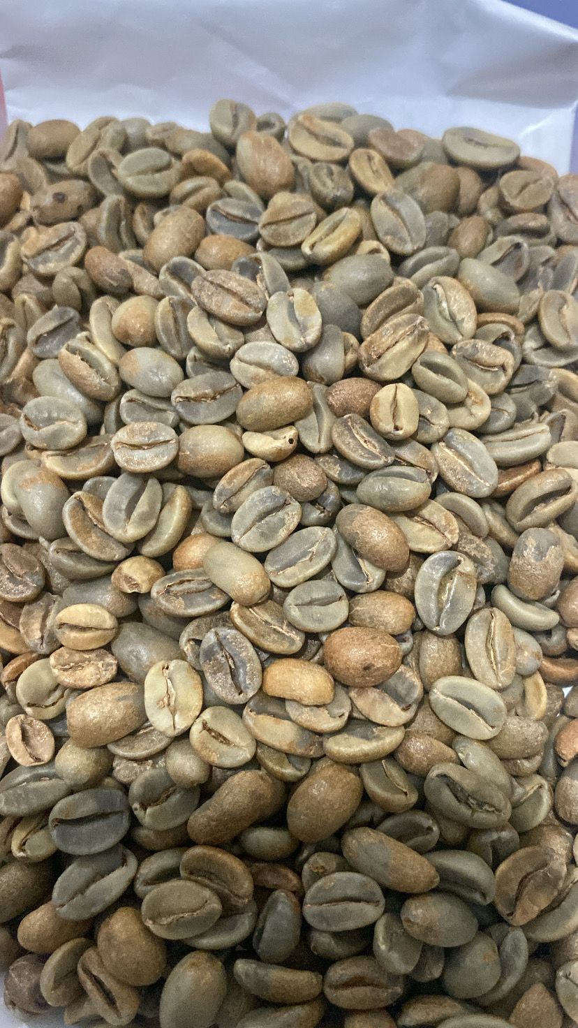 Greenbeans natural gn.prau